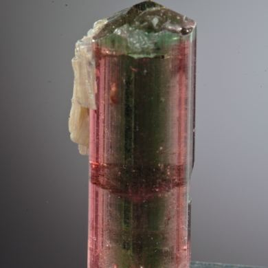 Elbaite var. Rubellite with blue-green center stripe