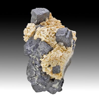 Galena with Dolomite