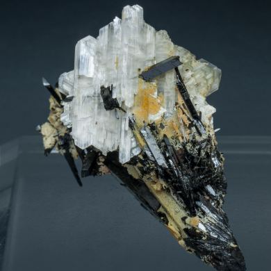 Eudidymite with Aegirine