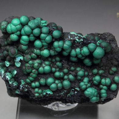 MALACHITE after CHRYSOCOLLA