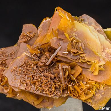 Wulfenite