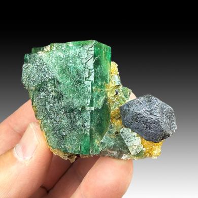 Fluorite with Galena