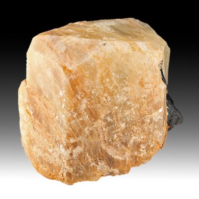 Beryl