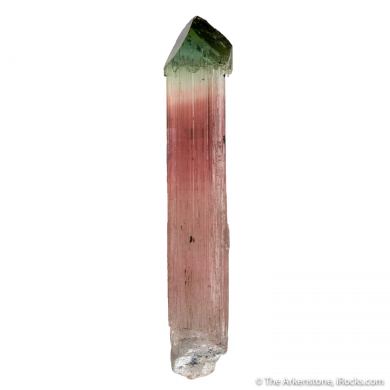 Elbaite Tourmaline
