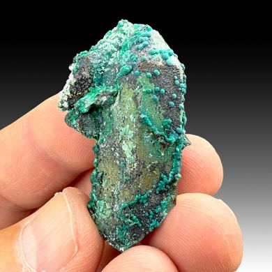 Chrysocolla on Quartz