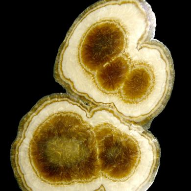 Baryte, marcasite