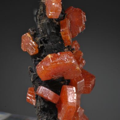  Vanadinite on Goethite (stalactitic)