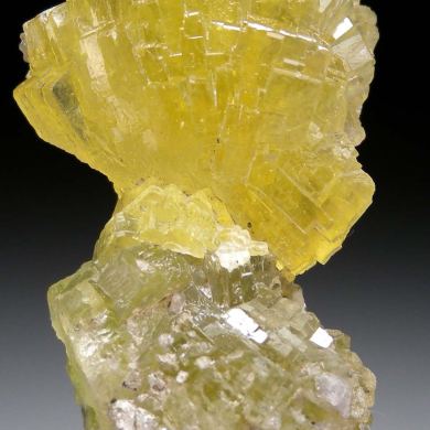 Prehnite