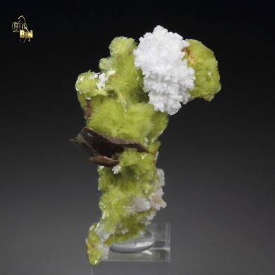 new find - CARLHINTZEITE