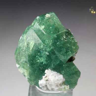gem GARNET var. ANDRADITE