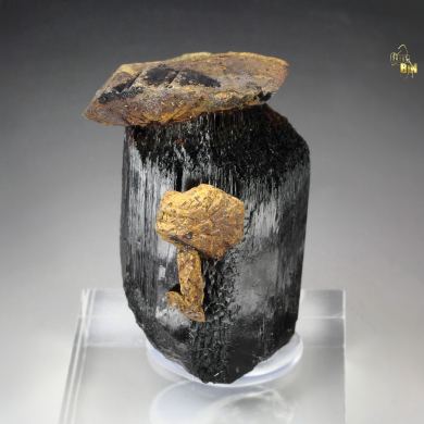 GOETHITE pseudomorph after SIDERITE, TOURMALINE var. SCHORL