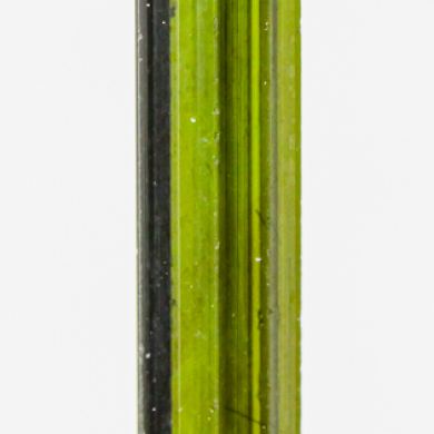 Tourmaline