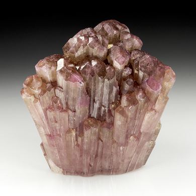 Liddicoatite
