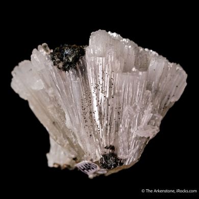 Alamosite with Melanotekite