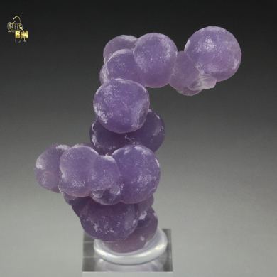 QUARTZ var. AMETHYST - grape agate
