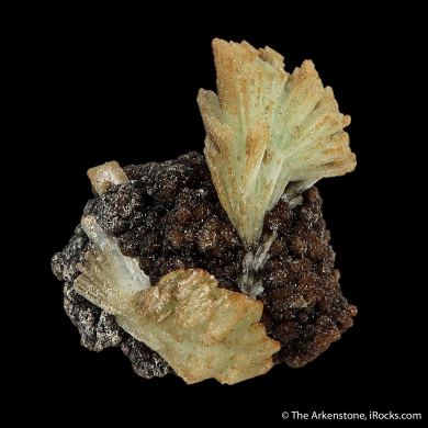 Paravauxite (Type Locality)