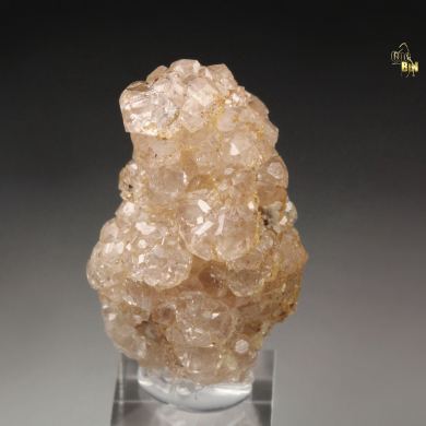 gem GARNET var. GROSSULAR