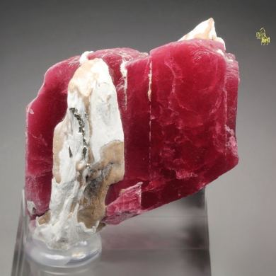 gemmy RHODONITE