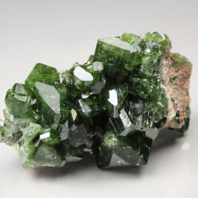 UVITE