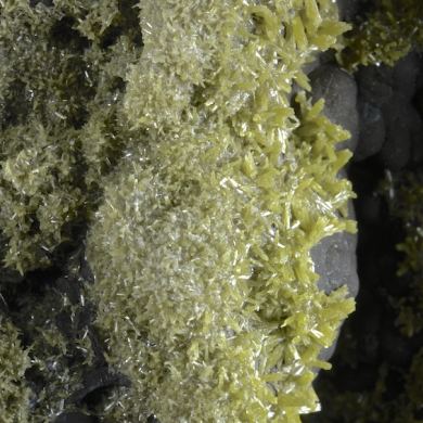 Pyromorphite on Coronadite - classic locale