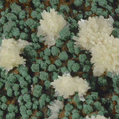 Mimetite with Malachite ps after Cuprite