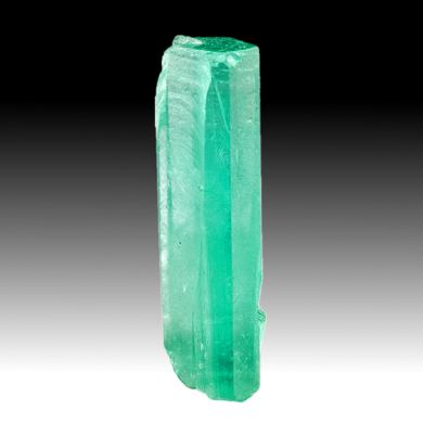 Beryl