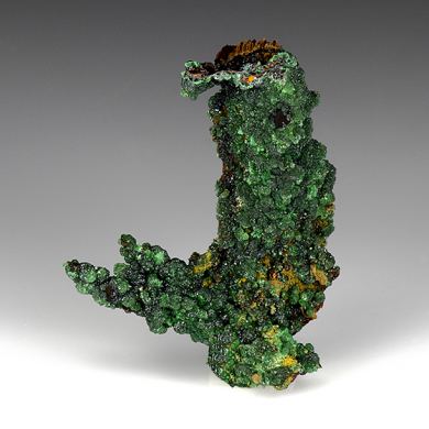 Zincolivenite with Adamite, Conichalcite, Goethite