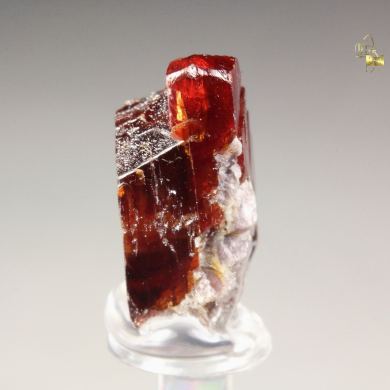 TANTALITE-(Mn)