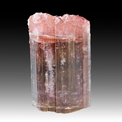 Liddicoatite-Elbaite