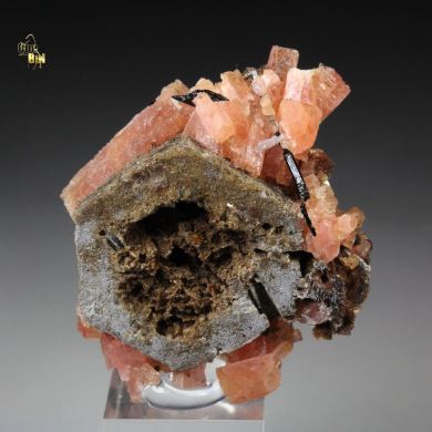 CATAPLEIITE pseudomorph, SERANDITE