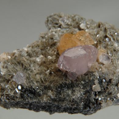 Fluorapatite and Scheelitte on Muscovite