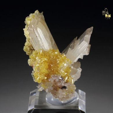 twinned CERUSSITE, gemmy MIMETITE