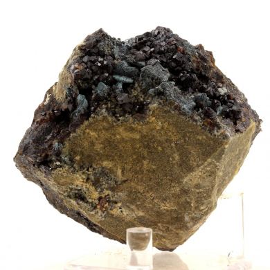 Bournonite + Sphalerite.