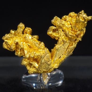 Gold