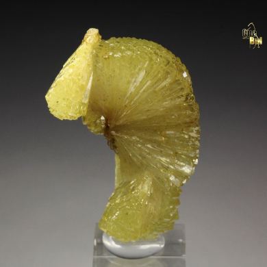 ADAMITE
