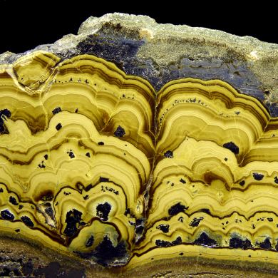 Schalenblende – sphalerite, marcasite, galena