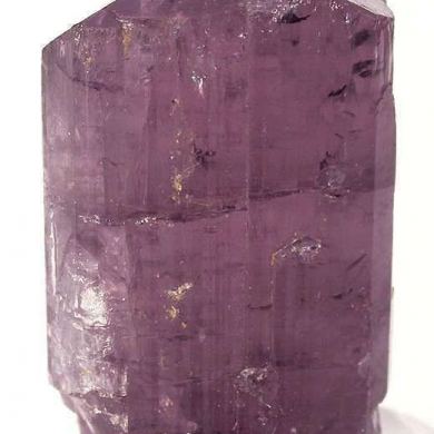 Scapolite