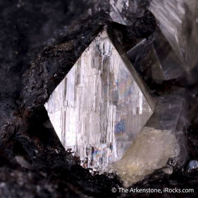 Valentinite with Galena, Stibnite and Native Antimony