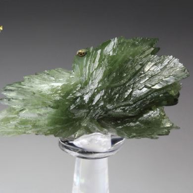 LUDLAMITE bow tie
