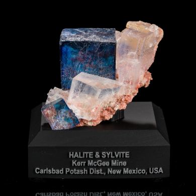 Blue Halite & Sylvite from New Mexico