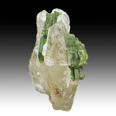 Elbaite with Quartz