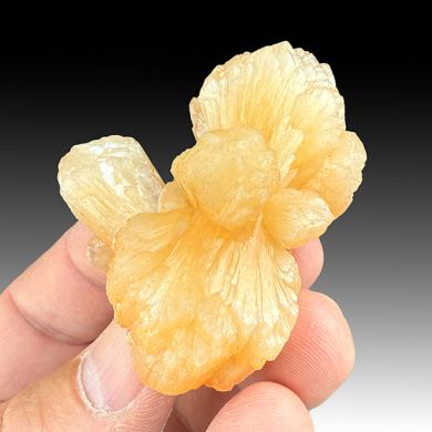 Stilbite