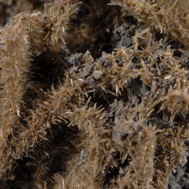 Cassiterite variety Needle Tin