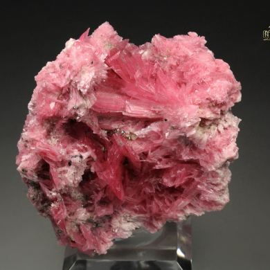 RHODONITE