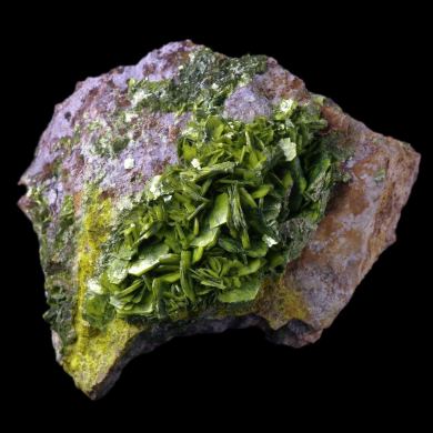 Autunite Bois Noirs 