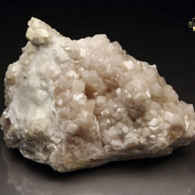 opaque GARNET var. GROSSULAR, WOLLASTONITE