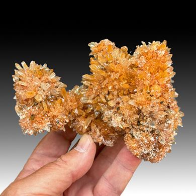 Creedite