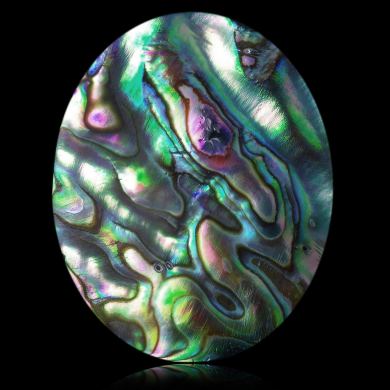 Abalone 33,95 ct 