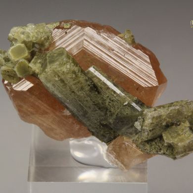 gem GARNET var. GROSSULAR, DIOPSIDE