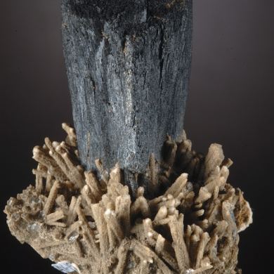 Ilvaite on Quartz
